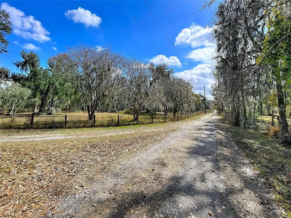 15210 Rough Diamond Ranch Road Lithia FL 33547