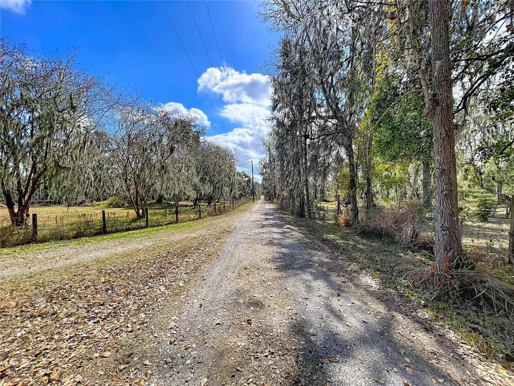 15210 Rough Diamond Ranch Road Lithia FL 33547