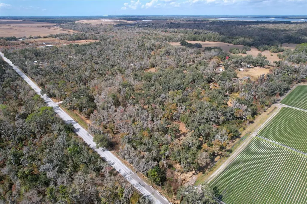 15210 Rough Diamond Ranch Road Lithia FL 33547