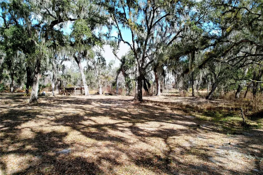 15210 Rough Diamond Ranch Road Lithia FL 33547