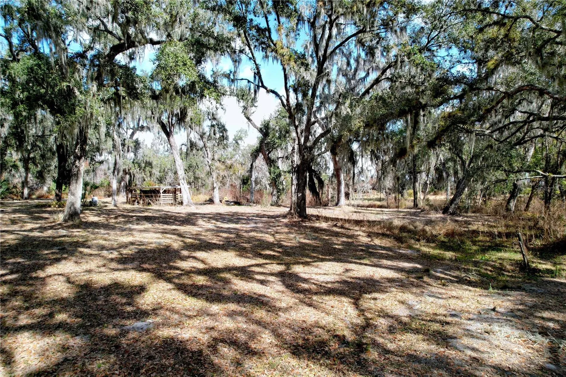 15210 Rough Diamond Ranch Road Lithia FL 33547