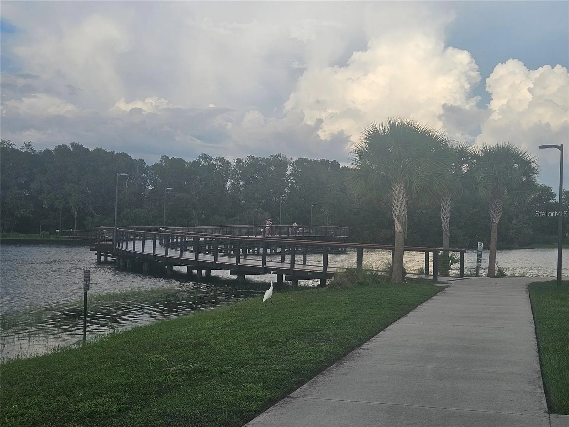 13608 S Village Drive Tampa FL 33618