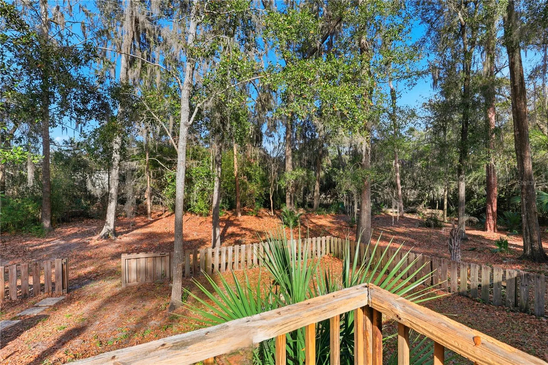 8006 SW 62nd Lane Gainesville FL 32608