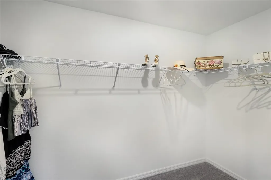 5552 Blue Azure Drive Wimauma FL 33598