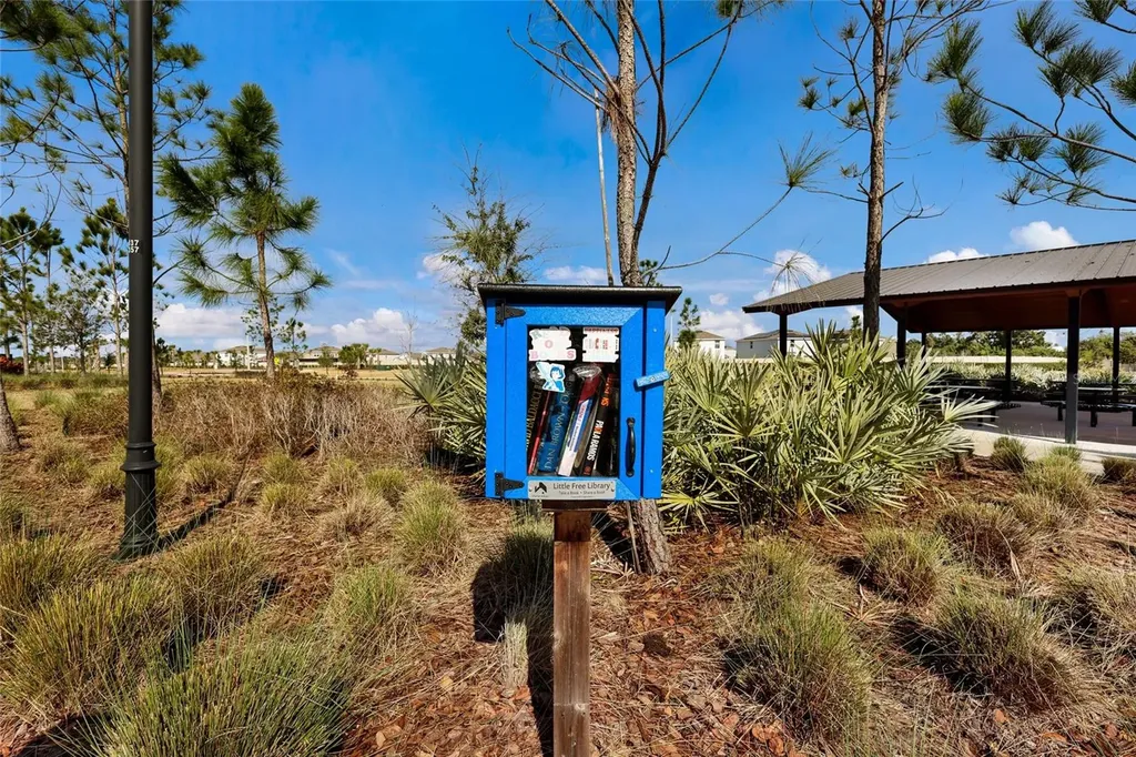 5552 Blue Azure Drive Wimauma FL 33598