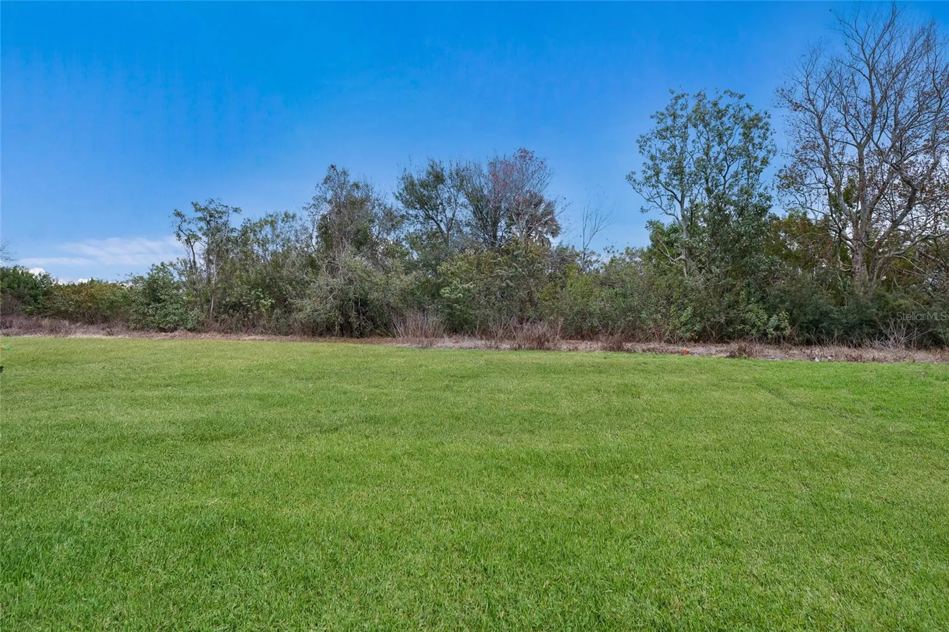 5552 Blue Azure Drive Wimauma FL 33598