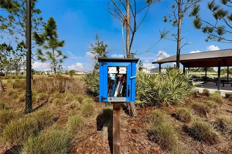 5552 Blue Azure Drive Wimauma FL 33598