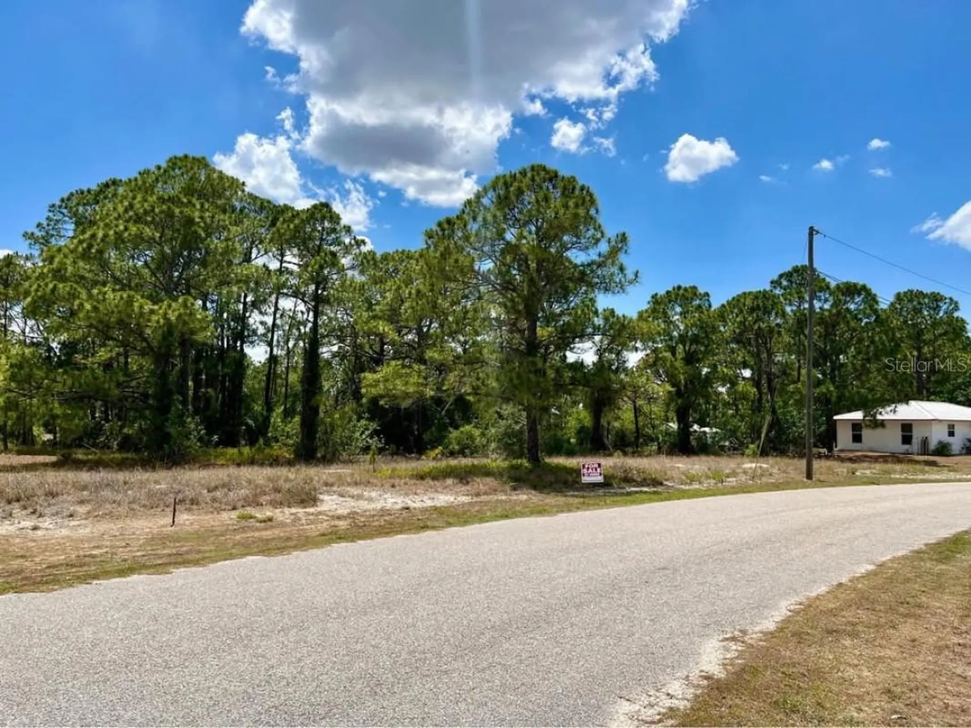 668 Lake Tina Drive Lake Placid FL 33852