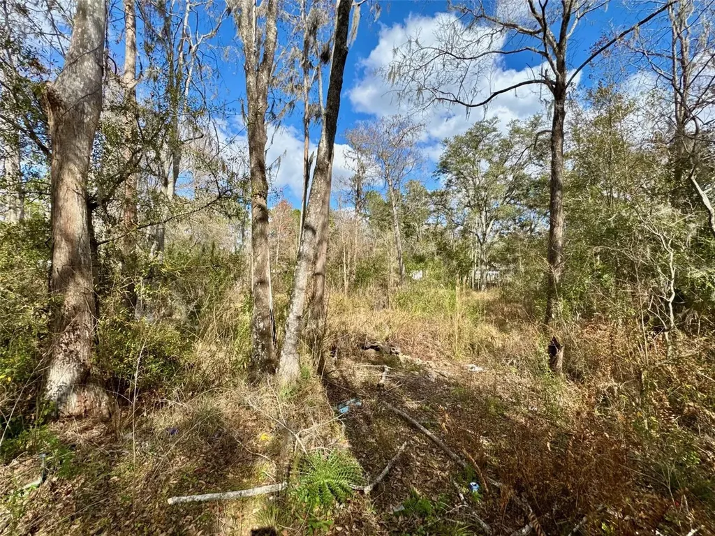 26931 Deacon Loop Zephyrhills FL 33544