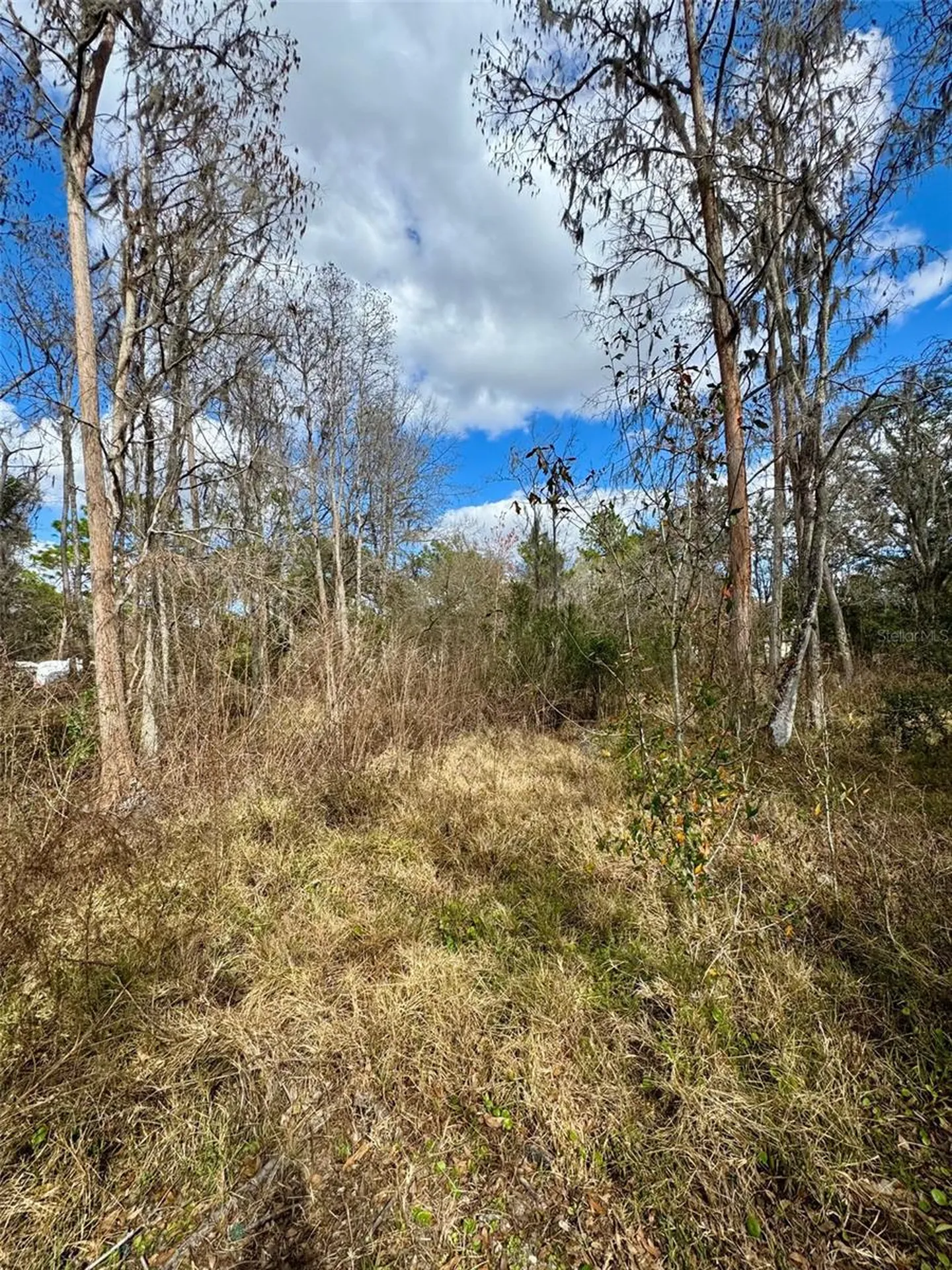 26931 Deacon Loop Zephyrhills FL 33544
