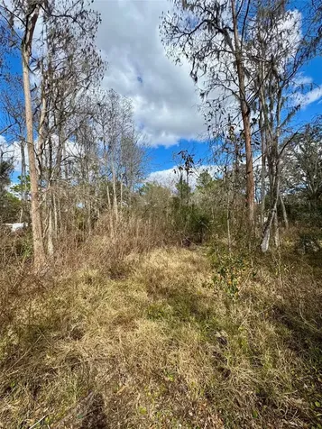 26931 Deacon Loop Zephyrhills FL 33544