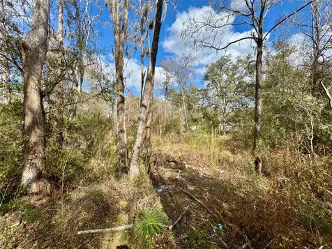 26931 Deacon Loop Zephyrhills FL 33544