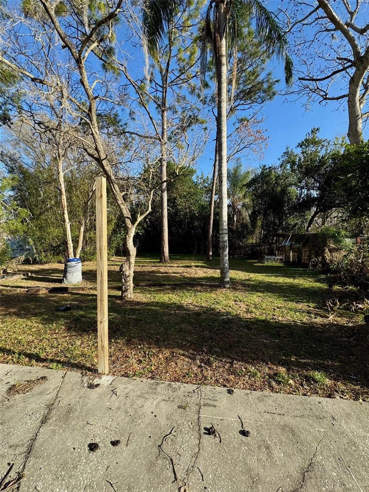 7700 Vine Street Land O Lakes FL 34638