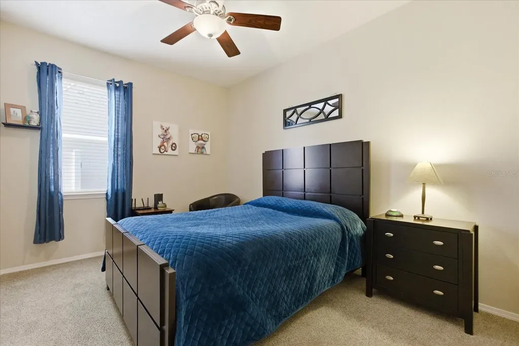 20900 Oldenburg Loop Mount Dora FL 32757