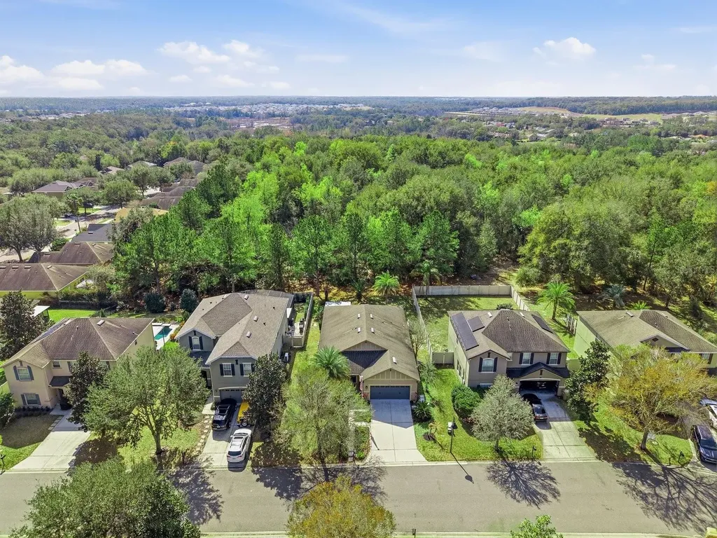 20900 Oldenburg Loop Mount Dora FL 32757