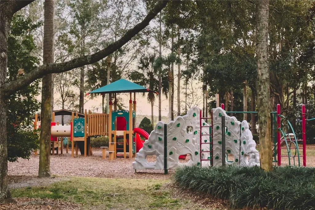 20900 Oldenburg Loop Mount Dora FL 32757