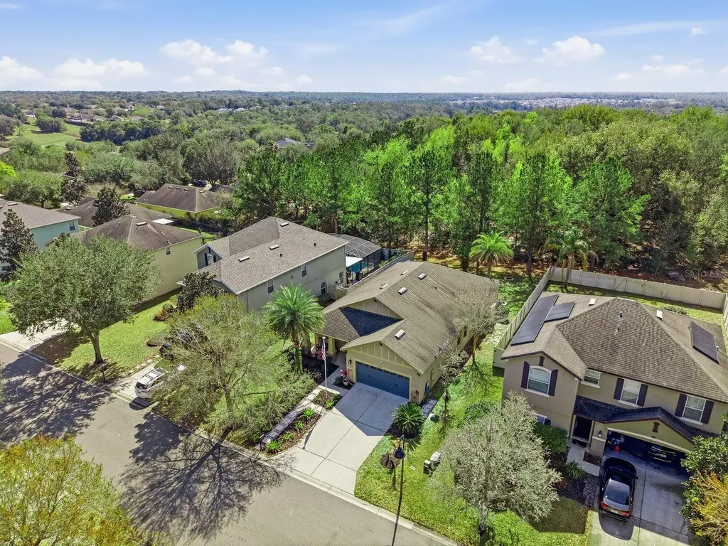 20900 Oldenburg Loop Mount Dora FL 32757