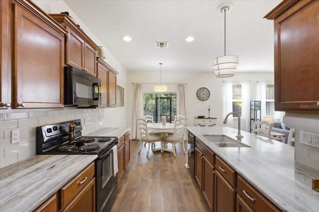 20900 Oldenburg Loop Mount Dora FL 32757