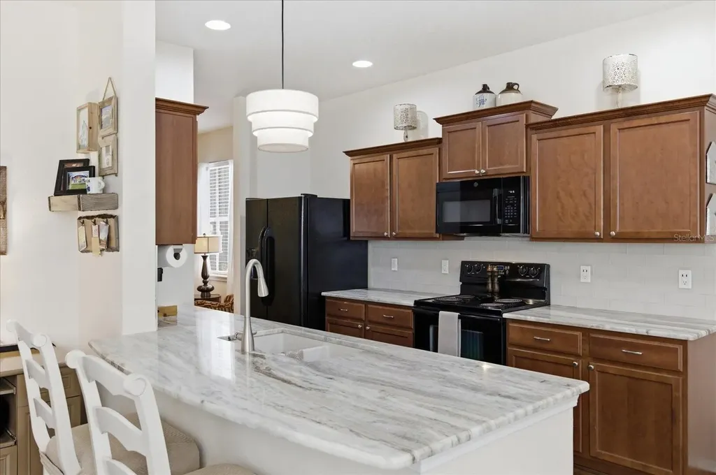 20900 Oldenburg Loop Mount Dora FL 32757