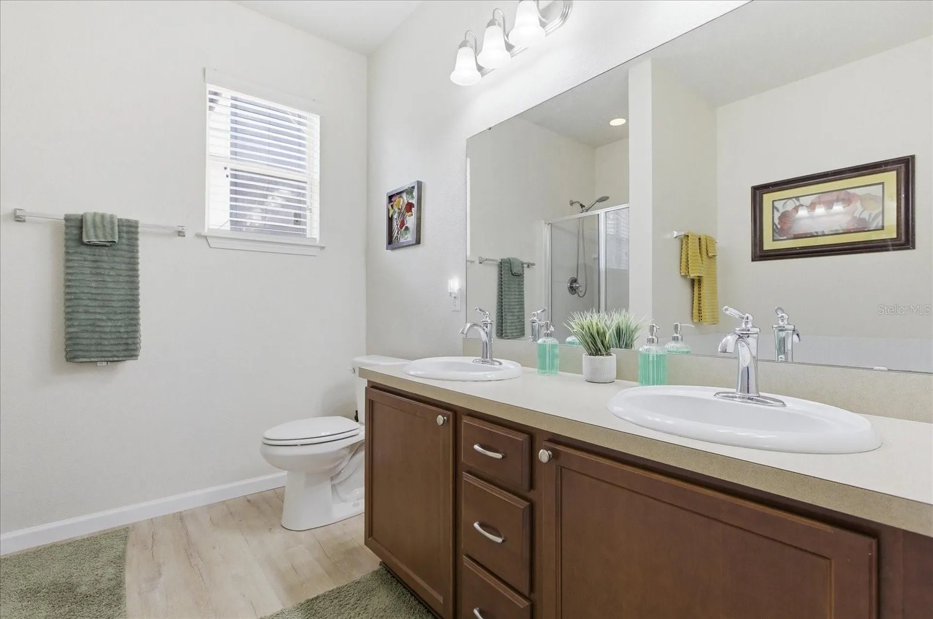 20900 Oldenburg Loop Mount Dora FL 32757