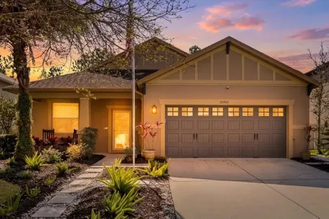 20900 Oldenburg Loop Mount Dora FL 32757