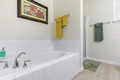 20900 Oldenburg Loop Mount Dora FL 32757