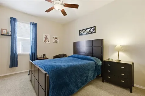 20900 Oldenburg Loop Mount Dora FL 32757