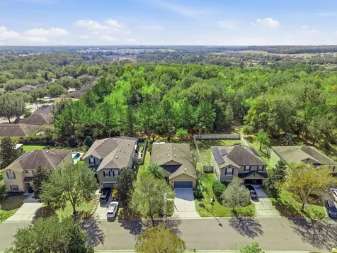 20900 Oldenburg Loop Mount Dora FL 32757