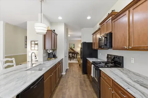 20900 Oldenburg Loop Mount Dora FL 32757