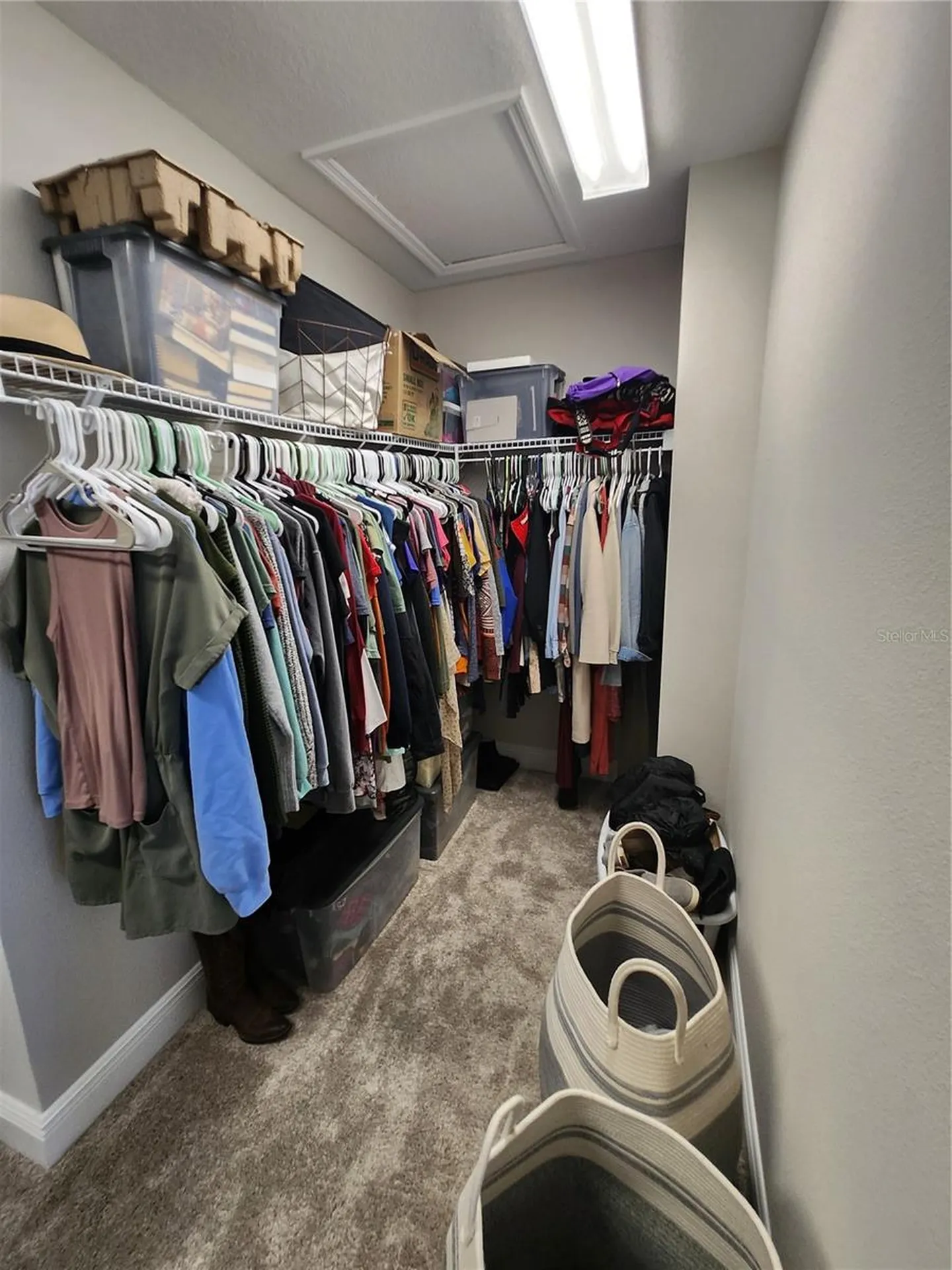 3934 Maurice Avenue Odessa FL 33556