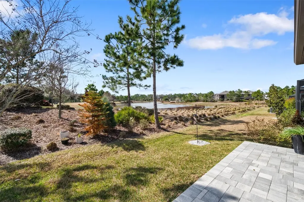 4563 San Martino Drive Wesley Chapel FL 33543