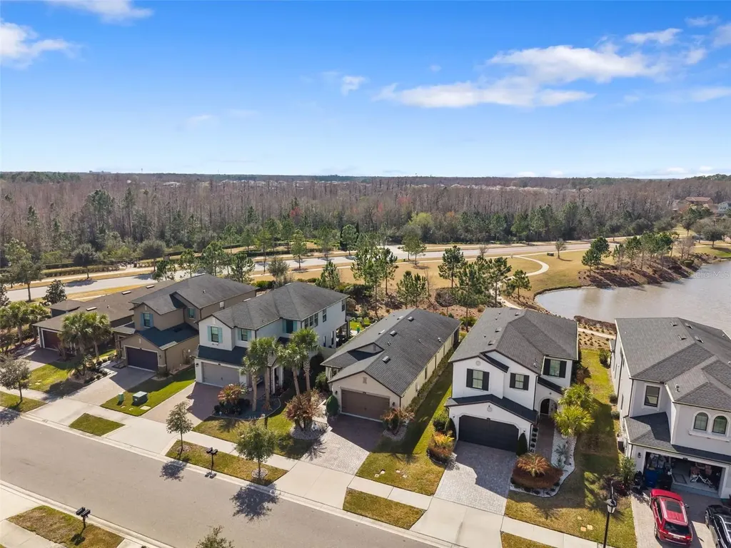 4563 San Martino Drive Wesley Chapel FL 33543