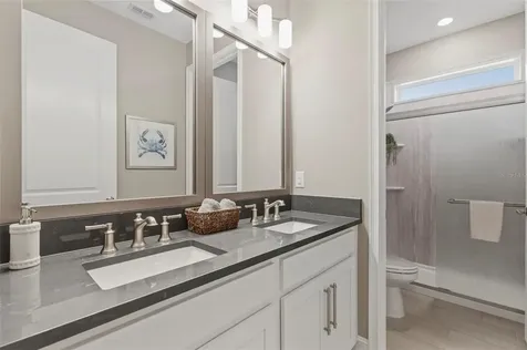 4563 San Martino Drive Wesley Chapel FL 33543