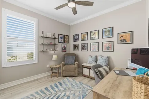 4563 San Martino Drive Wesley Chapel FL 33543
