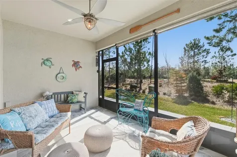 4563 San Martino Drive Wesley Chapel FL 33543
