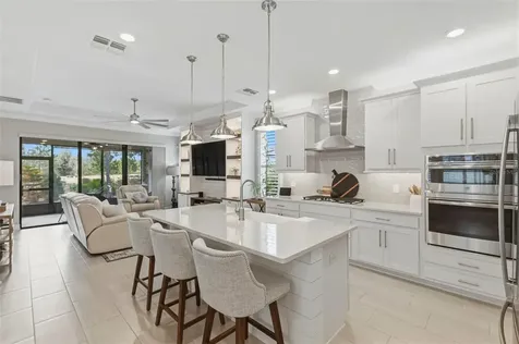 4563 San Martino Drive Wesley Chapel FL 33543