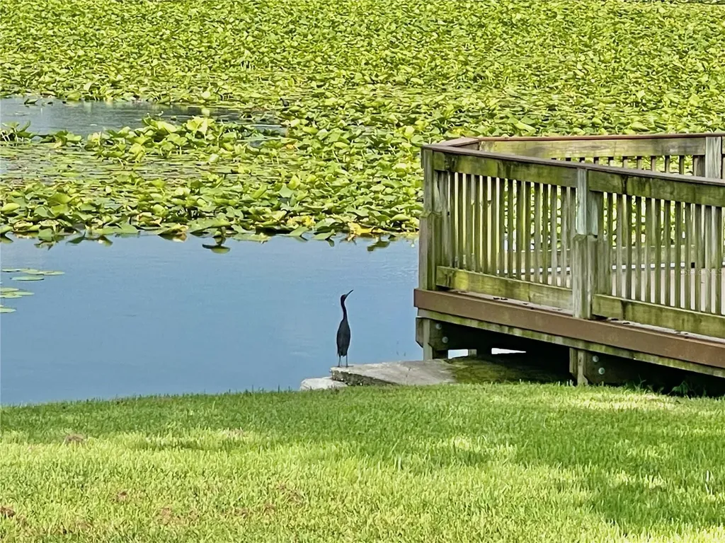 145 N Pearl Lake Causeway Altamonte Springs FL 32714
