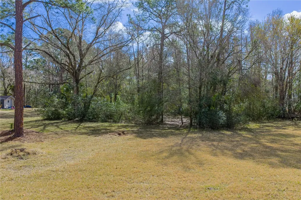 27154 Ravens Brook Road Wesley Chapel FL 33544