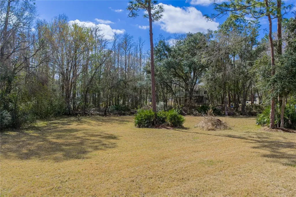27154 Ravens Brook Road Wesley Chapel FL 33544