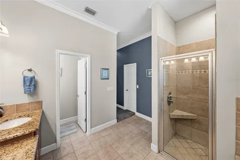 27154 Ravens Brook Road Wesley Chapel FL 33544