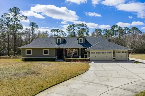 27154 Ravens Brook Road Wesley Chapel FL 33544