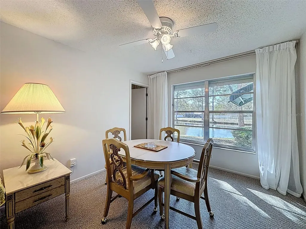 1446 Queen Anne Boulevard Palm Harbor FL 34684