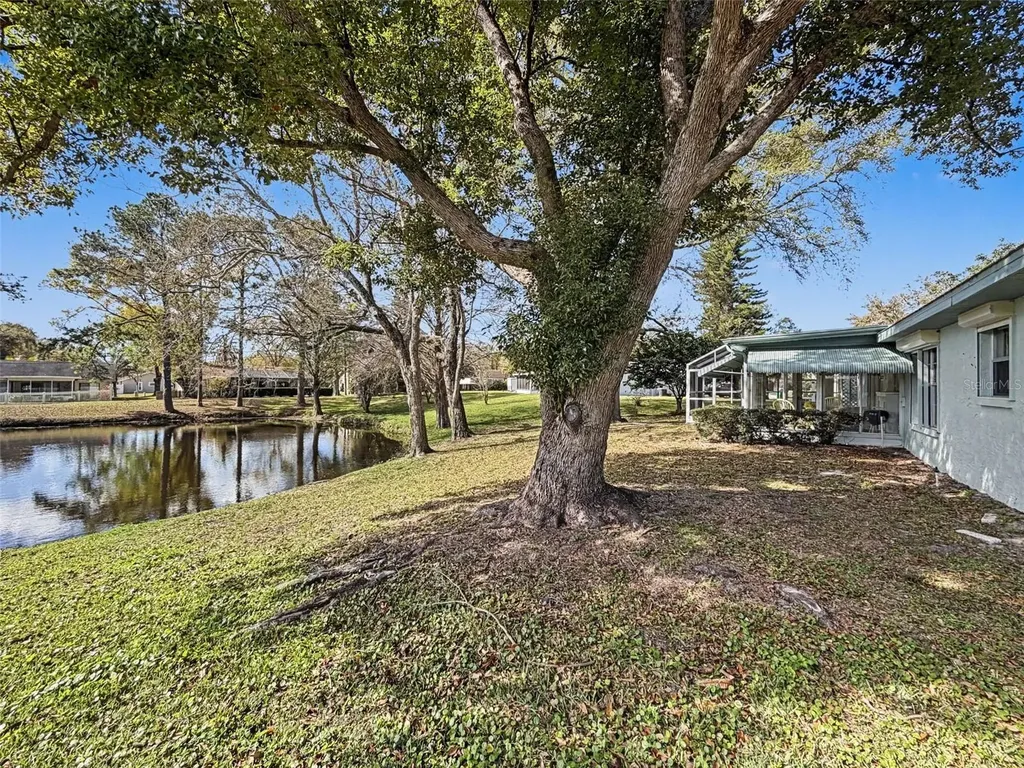 1446 Queen Anne Boulevard Palm Harbor FL 34684