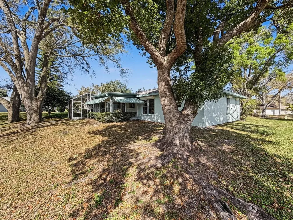 1446 Queen Anne Boulevard Palm Harbor FL 34684