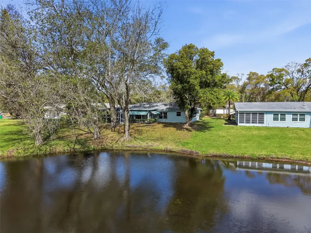 1446 Queen Anne Boulevard Palm Harbor FL 34684