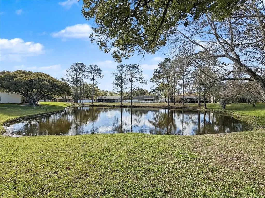 1446 Queen Anne Boulevard Palm Harbor FL 34684