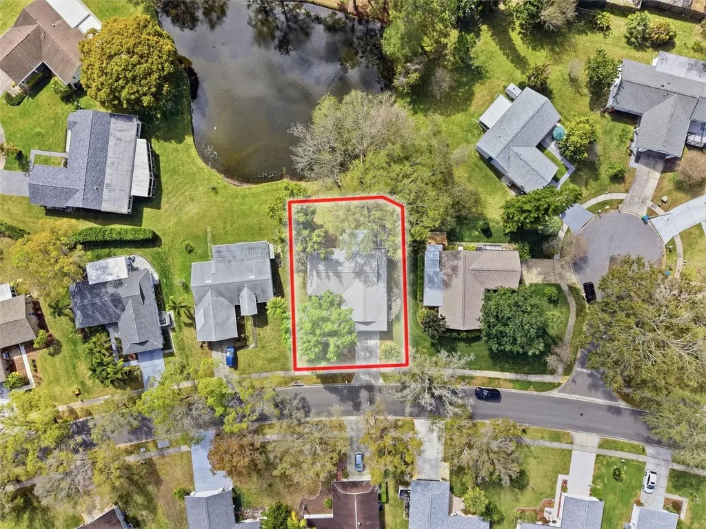1446 Queen Anne Boulevard Palm Harbor FL 34684