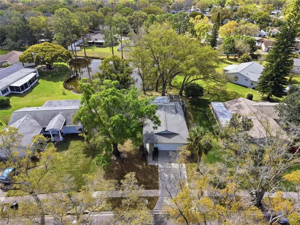 1446 Queen Anne Boulevard Palm Harbor FL 34684