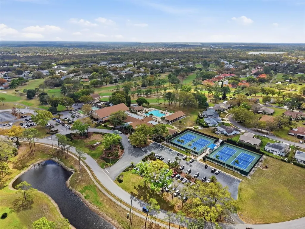 1446 Queen Anne Boulevard Palm Harbor FL 34684