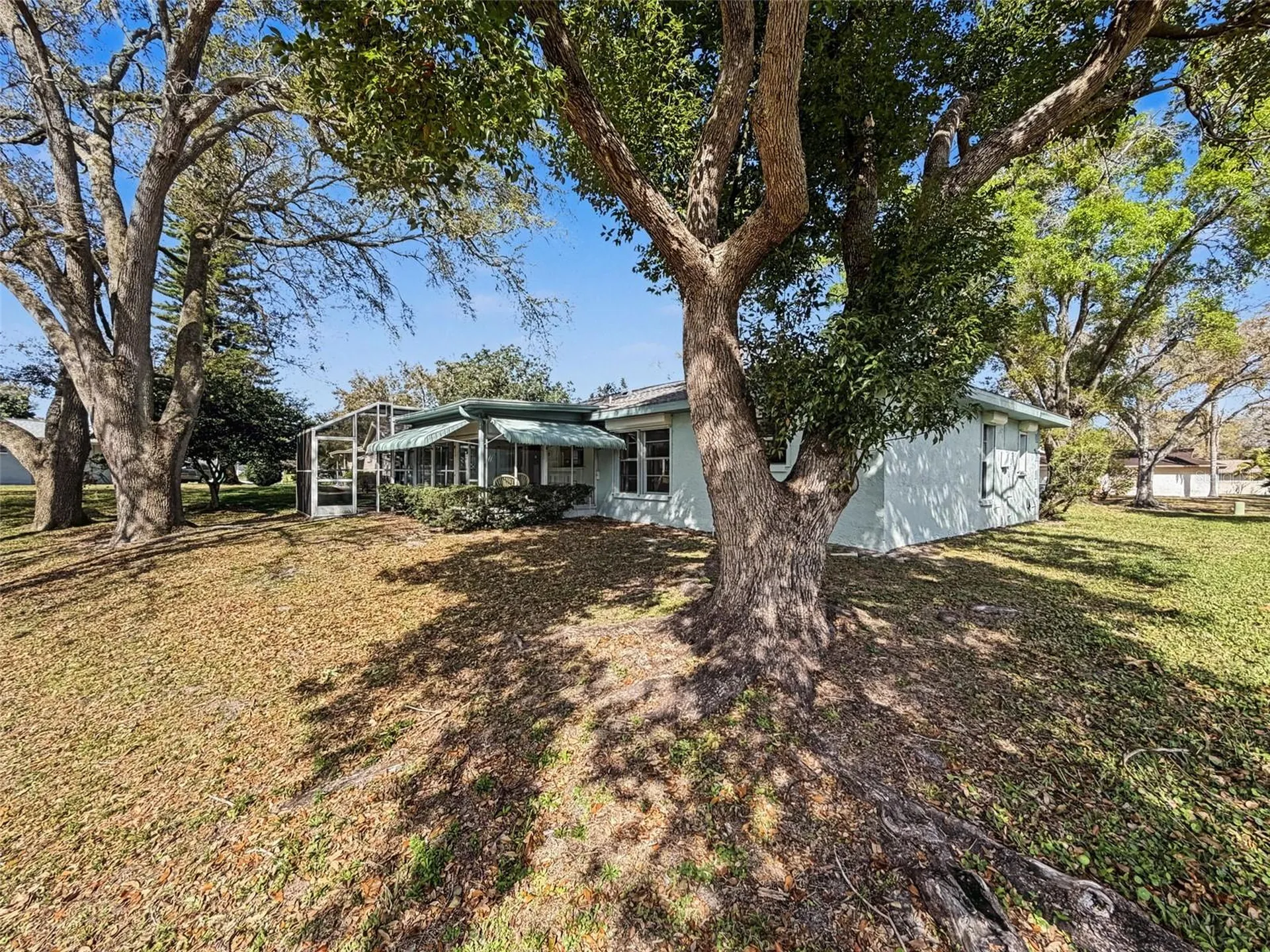 1446 Queen Anne Boulevard Palm Harbor FL 34684